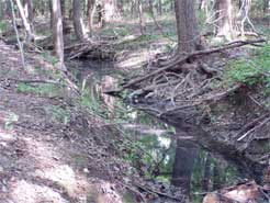 One of the creeks